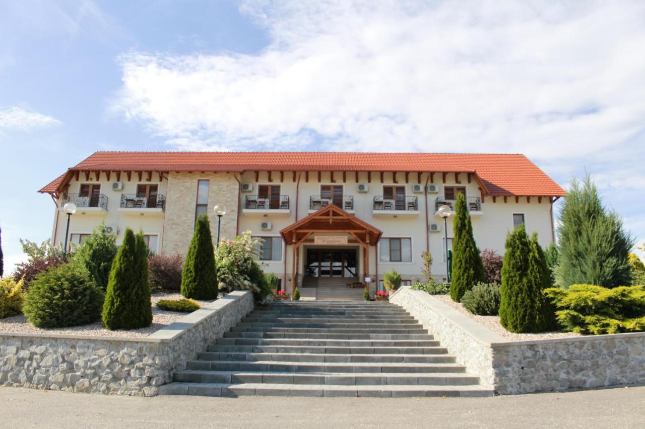 Pensiunea Kemsilvanum Fort Silvan Camar エクステリア 写真